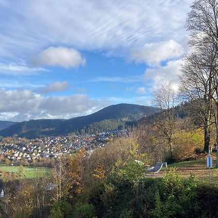Ferienwohnung Das Nest Schiltach Buitenkant foto