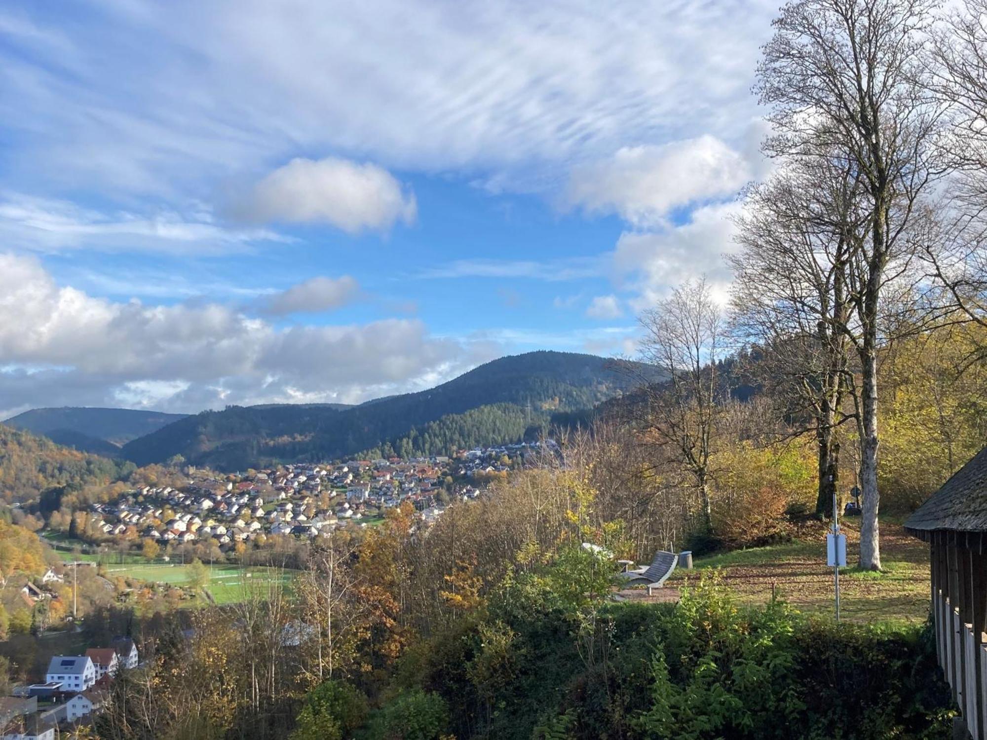 Ferienwohnung Das Nest Schiltach Buitenkant foto